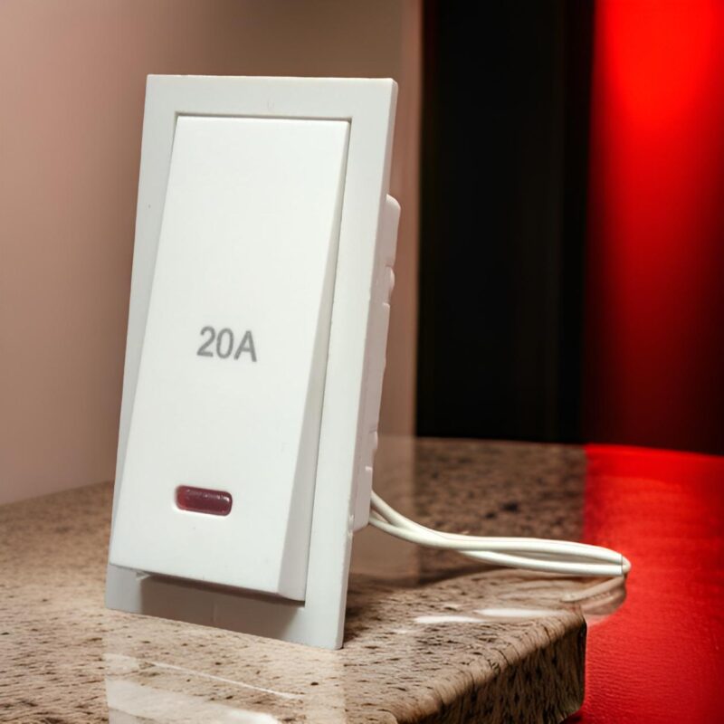 Raylite 20A Switch